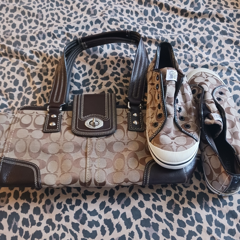 Purse & Shoes